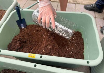 ４種類の肥料をペットボトルの中で、よく混ぜてから、土にまいていきます。