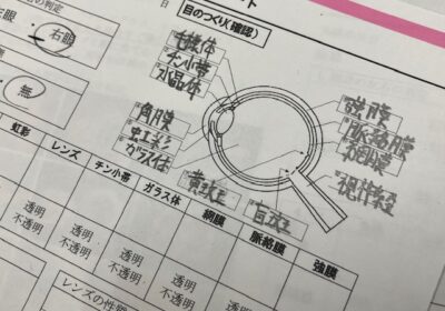 プリントに記入した組織を確認していきます。